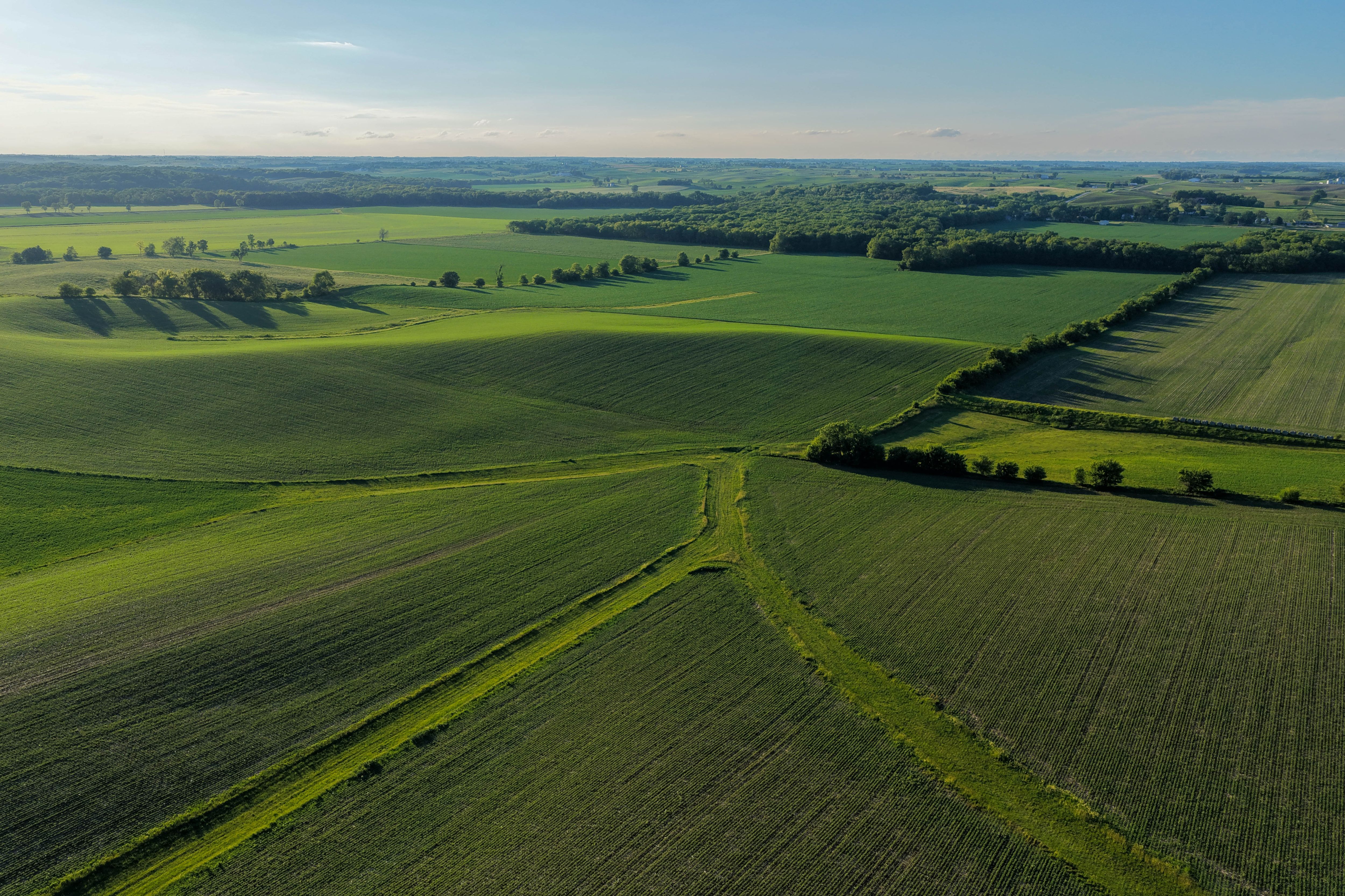 Listing Photo: Hard Surface road plus 40 acre Building Site Johnson County Iowa-53